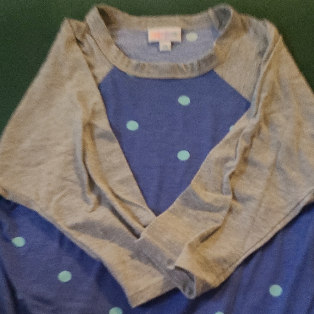 LuLaRoe Blue and Gray Long Sleeve Tee with Raglan Sleeves
